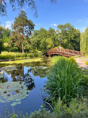 Wrocaw, Ostrow Tumski 'deki botanik bahçesi. Çeşmeli gölet.