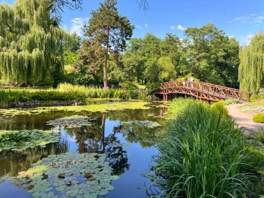 Wrocaw, Ostrow Tumski 'deki botanik bahçesi. Çeşmeli gölet.