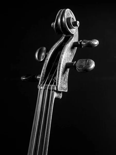 旧大提琴卷轴或头柄的黑白图像 — 图库照片