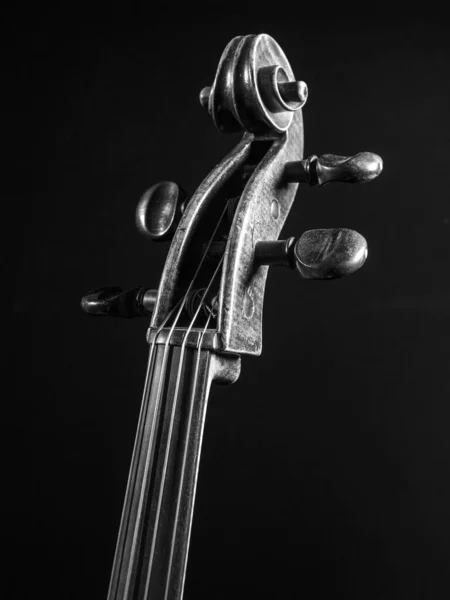 旧大提琴卷轴或头柄的黑白图像 图库照片