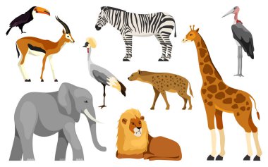 Savana hayvanları seti, izole vektör simgeleri. Ceylan ve fil, zebra, aslan, zürafa ve tukan. Sırtlan, gri taçlı turna ve leylek. Afrika kuşları, otlayan memeliler ve et yiyen hayvanlar..