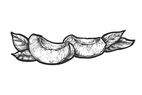 Ilustrație Vectorială Două Felii Caise Lobul Realistic Fructe Piatră Ingredient — Vector de stoc