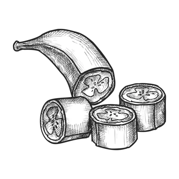 Sliced Peeled Banana Vector Illustration Sketch Summer Cut Fruit Dessert — Stock Vector