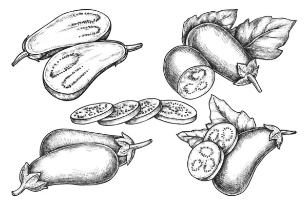Набір Ізольованих Баклажанів Векторний Ескіз Рука Намальована Вінтажним Кліпартом Плодів — стоковий вектор