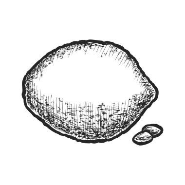 Limon meyvesi izole. Asya tarımından ekşi narenciye hasadının vektör çizimi. Vejetaryen ya da vejetaryen yiyecekler için organik ve doğal malzeme. Vitamin yemeği malzemesi. Çiftlik ya da bahçe hasadı. Doğa