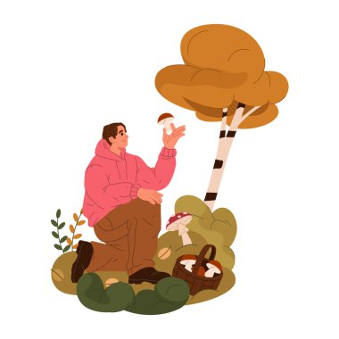 Mantar avı ya da mantar avcılığı. Vektör illüstrasyon ya da afiş. Mantar mantarı ormanda boletus topluyor. Sonbahar açık hava aktivitesi ya da hobi. Sepette yenilebilir beyaz mantarlar. Mevsimlik mantar arayışı.