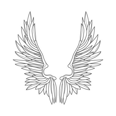 Vektör kanat tüyleri ana hatları. Melek ya da kuş kanatlı element. İlahi ve ilahi, hayvan teması için. Uç ve kaç, gök dövmesi ya da ortaçağ maskotu için cennet gibi bir şekil. Özgürlük amblemi.
