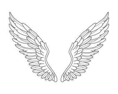 Meleklerin izole edilmiş kanatları. Kuşlar ya da uçan hayvanlar için taşıyıcı element. Göksel ya da havadar tüy amblemi. İlahi ya da ruhani dövme için dış görünüş ya da dış görünüş. İlham ve özgürlük, uçuş ikonu.