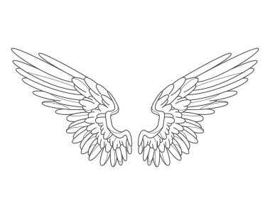 Süslü melek kanatları ya da kuş tüyü hatları. Vektör melek ya da ilahi, ruhani ya da cennet, özgürlük ve uçuş dövmesi. Şahin ya da Anka kuşu, kartal elementi. İlham ve ortaçağ kraliyet sembolü.