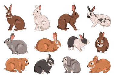 Tavşan mı tavşan mı, tavşan mı? Yurtiçi ya da vahşi yaşam hayvanlarının vektör koleksiyonu. Paskalya bayramı sembolü. Vahşi orman veya orman faunası. Tüylü otçul memeli klipsleri. Doğa ve zooloji, biyoloji