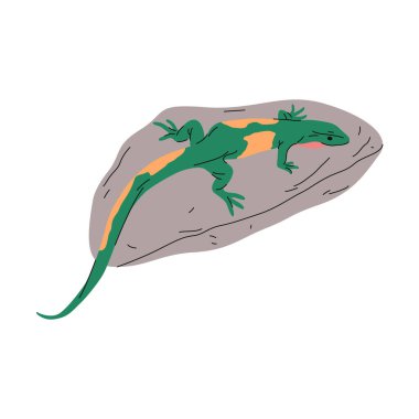 Taşta kertenkele ya da arazide çizgi film sürüngeni. Vector Çölü ya da Savannah Vahşi Hayatı. Tropik fauna klipsi. Biyoloji ya da zooloji için illüstrasyon ya da poster. Doğa ve doğa. Doğal kamuflaj.