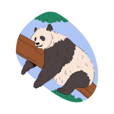 Ağaç dalında panda porseleni. Bambu ormanında ya da hayvanat bahçesinde taşıyıcı hayvan. Vahşi yaşam ağaç tembelliği ve uykulu tüylü memeli. Huzurlu Fauna elementi. Otçullar dışarıda. Zooloji ve biyoloji.