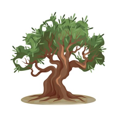 Yapraklı ağaç ya da zeytin bitkisi taşıyıcısı. Akdeniz doğası, ekoloji ve tarım için Flora elementi. Orman manzarası ya da meyve bahçesi sembolü. Bahçe ve tarım, bitki ve yeşillik.