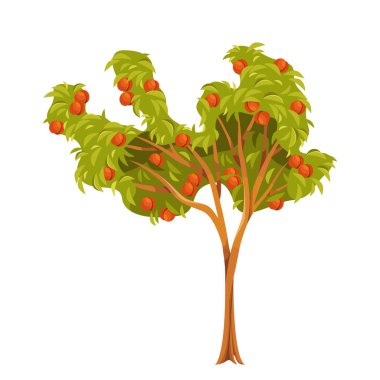 Şeftali ağacı klipsi ya da yenilebilir mevsimlik meyve bitkisi sembolü. Bahçe ya da meyve bahçesi için vektör karikatür karikatürü, tarım organik perry ya da meyve suyu hasadı. Yapraklı ve dallı bir odun. Doğa ve Bahçecilik.
