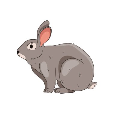 Evcil tavşan ya da paskalya tavşanı. Orman tavşanı mı? Yumuşak vahşi hayvan ya da orman faunası. Nisan bayramının sembolü ya da festival afişi. Kulakları ve kuyruğu olan otçul bir hayvan.