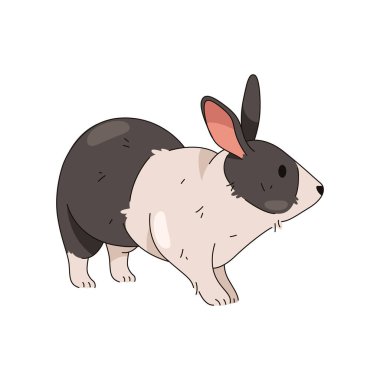 Paskalya tavşanı ya da tavşan hayvanı. Vektör karikatür ormanı ya da orman tavşanı, orman otçul memelisi. Doğa sembolü ve zooloji sembolü. Çiftlik hayvanı ya da bahar tabelası. Oturan çayır faunası. Biyoloji posteri.