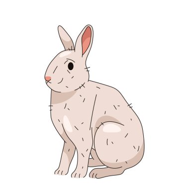 Beyaz tavşan ya da evcil tavşan. Orman veya orman tavşanının izole edilmiş vektörü. Kürklü vahşi hayvan ya da tüylü hayvan. Paskalya bayramı sembolü ya da bayram kartı öğesi. Kır hayvanı. Doğa ve zooloji.
