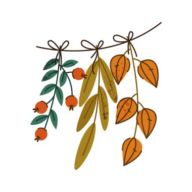 Bitki dalı ya da sonbahar yaprakları. Sonbahar bitkilerinin, ormanların mevsimlik yapraklarının, orman bitkilerinin, böğürtlenlerin ikonu. Bahçe sezonu ve doğa sembolü. Botanik ve biyoloji, köy taksonomisi.