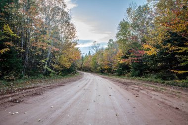 Prens Edward Adası 'nda sonbaharda kırmızı toprak yol 