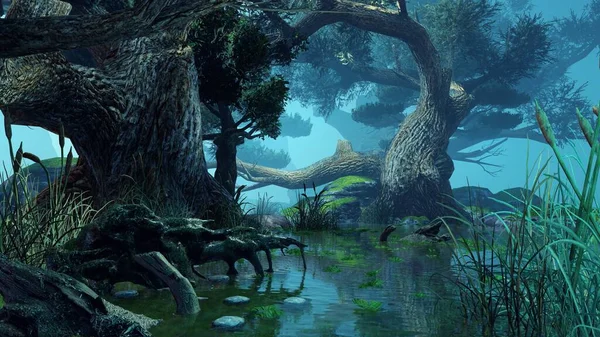 Gölün yanında yetişen eski orman.