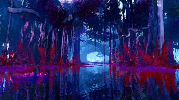 Mangrov ormanında güneş ışınları