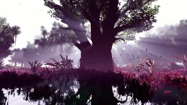 Velký Strom Slunci Animace Téma Rostliny Příroda Ekologie Klima — Stock video