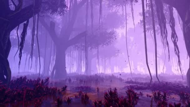 Mlhavá Mangrovová Džungle Ranní Mlze Animace Téma Pohádky Fantazie Klima — Stock video