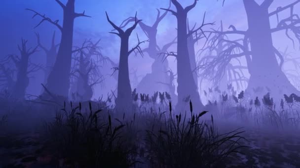 Старое Туманное Болото Высокими Деревьями Анимация Тему Сказок Фантазий Мультфильмов — стоковое видео