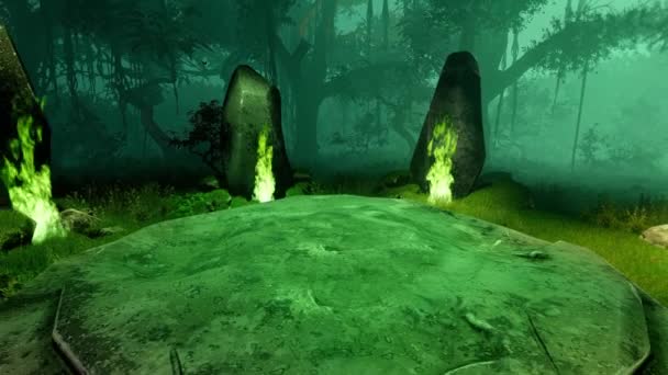 Megszentelte Druidák Szent Helyét Rejtélyes Erdőben Animáció Vallás Kultúra Történelem — Stock videók