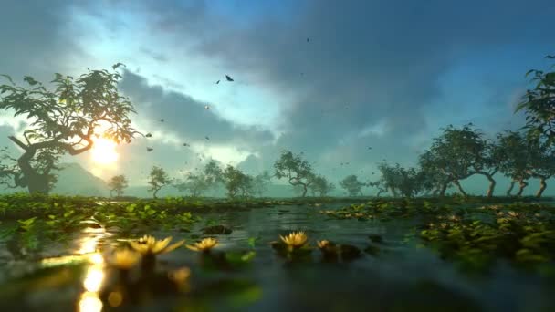 生长在沼泽地里的百合花 关于自然和要素 植物和气候 生态和旅行主题的动画制作 — 图库视频影像