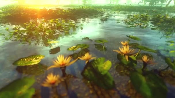 Plantas Acuáticas Que Crecen Aguas Claras Animación Sobre Tema Naturaleza — Vídeos de Stock