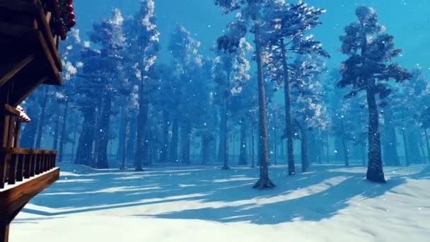 Ένα Μοναχικό Σπίτι Ανάμεσα Ένα Λευκό Χειμερινό Δάσος Εικονογράφηση Πάνω — Αρχείο Βίντεο