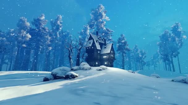 冬の森に立っている孤独な古い家 おとぎ話や歴史 ファンタジー 旅をテーマにしたイラスト — ストック動画