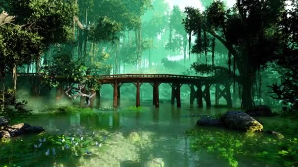 Rainforest Και Ξύλινη Γέφυρα Στο Τροπικό Δάσος — Αρχείο Βίντεο