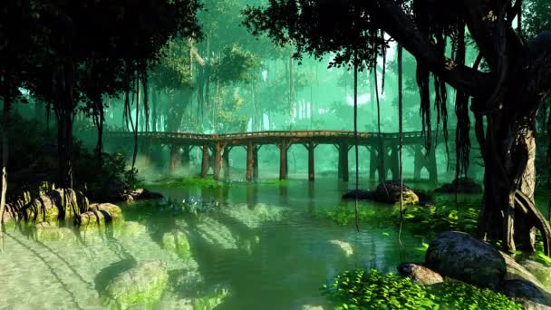 Most Přes Průhlednou Řeku Tropickém Lese — Stock video