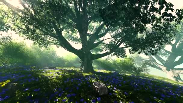 Sommarpark Med Träd Och Färgglada Blommor — Stockvideo