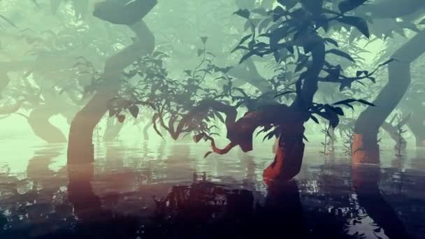 红树林中的矮树植物 — 图库视频影像