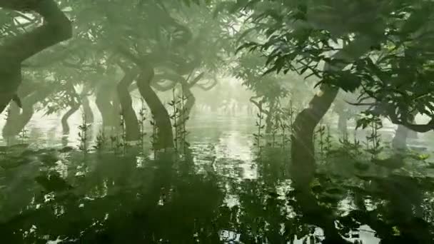 Движение Через Мангровые Заросли Затопленные Озером — стоковое видео