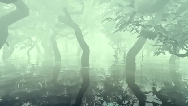 Мангровые Деревья Утреннем Тумане — стоковое видео