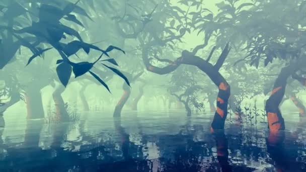 穿过被湖水淹没的红树林 — 图库视频影像
