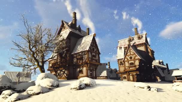 冬の森の妖精の家 — ストック動画