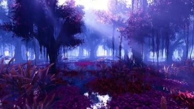 Tropikal ormanda güneş ışınları.