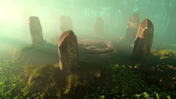 Der Heilige Ort Der Druiden Geheimnisvollen Wald Animation Zum Thema — Stockvideo