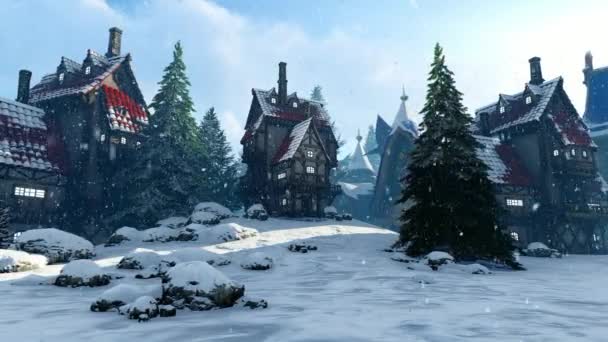 在冬天的童话景观 — 图库视频影像