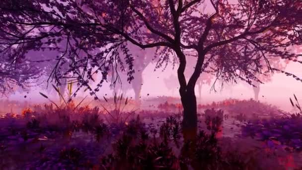 雾蒙蒙的紫色薄雾中的神奇森林 — 图库视频影像