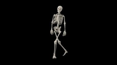 İskelet ekranda yavaşça yürüyor.