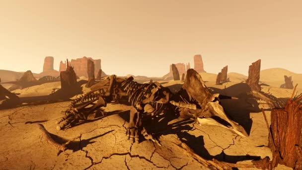 砂漠の恐竜の骨格 — ストック動画