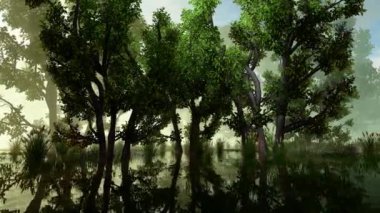 Suyla dolu bir ormanın manzarası.