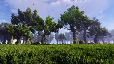 Büyük ağaçlı yeşil çayır..