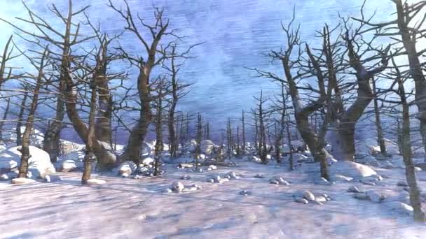 图解中的冬季森林全景 — 图库视频影像